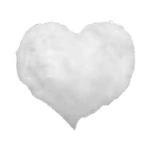Cotton Wool Stuffing