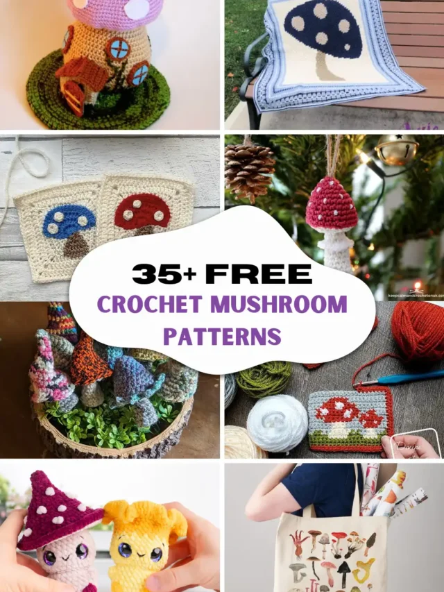 35+ Free Crochet Mushroom Patterns