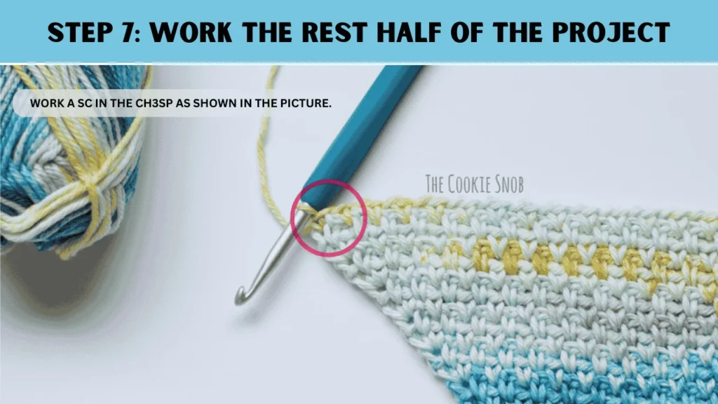 To moss stitch crochet, in this step: Work a sc in the ch3sp as shown in the picture.