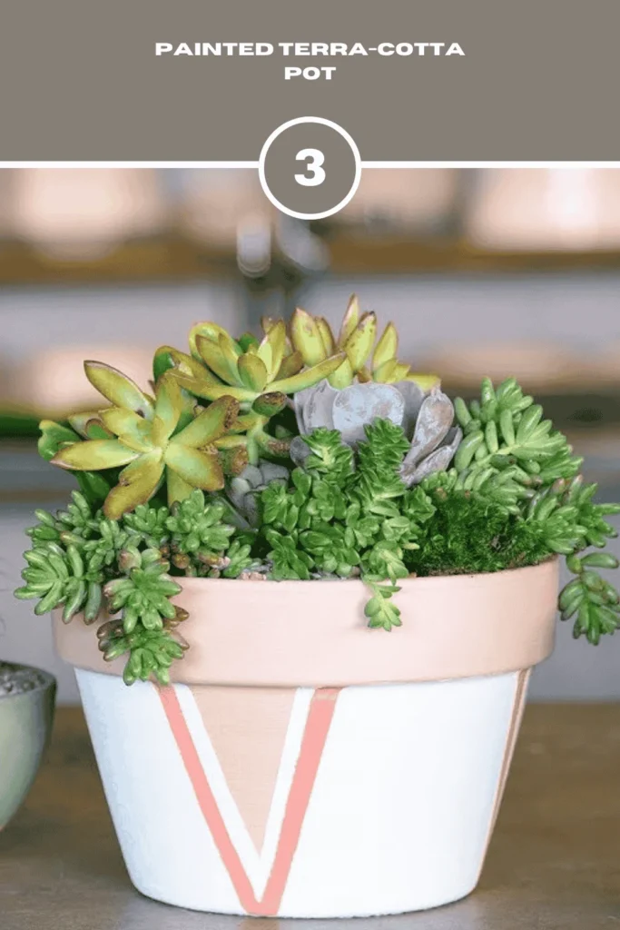 Painted Terra-Cotta Pot Mother's Day Crafts