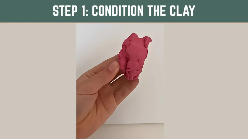 Step 1: Condition the Clay