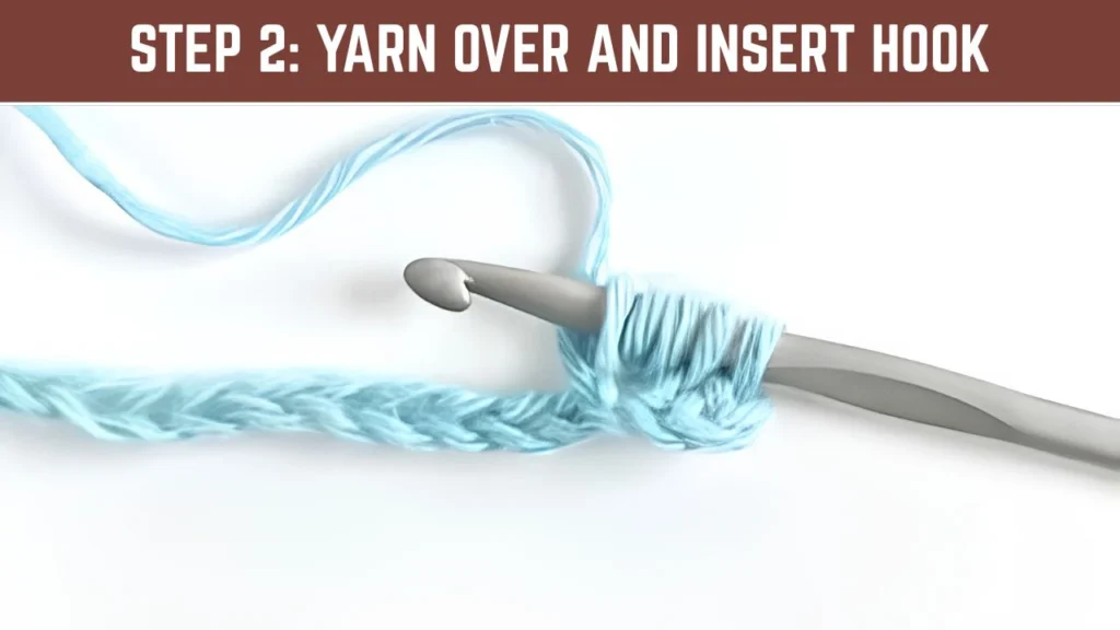 Step 2_ Yarn Over and Insert Hook
