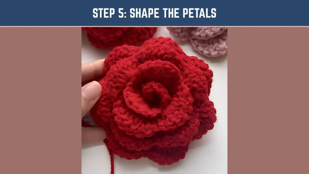 Shape the Petals